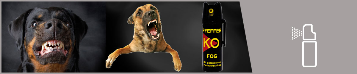 PFEFFER ABWEHRSPRAY Anti-Dog Protect Breitstrahl 40 ml - Hunde Abwehrspray  - Hunde - Tierarzneimittel - pharmaphant
